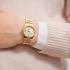 GANT Sussex Mini Gold Dial 28mm Gold Stainless Steel Bracelet G181014 - 1