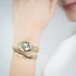 JUST CAVALLI Signature Snake Champagne Dial 20.5x29.5mm Gold Stainless Steel Bracelet JC1L326M0025 - 3