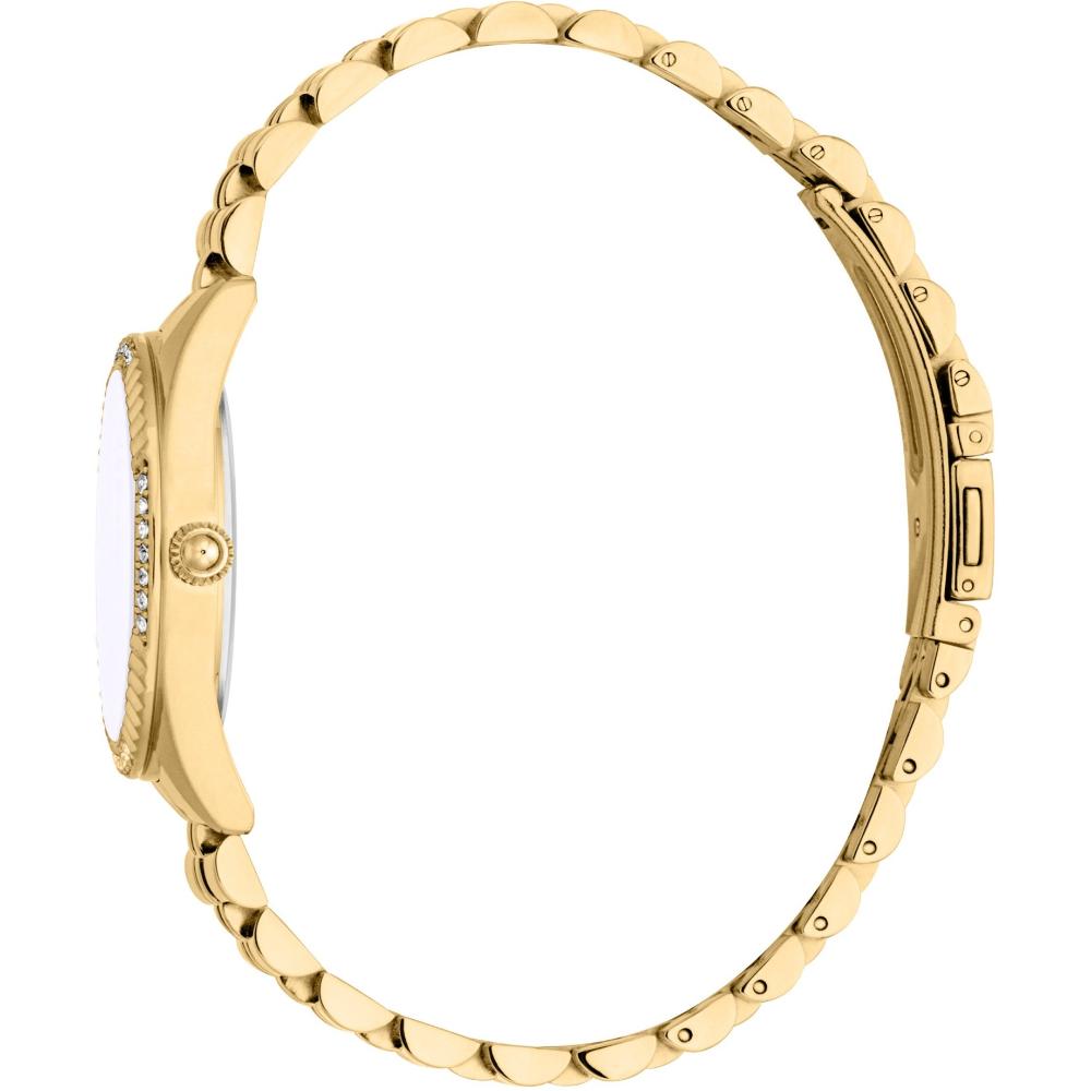 JUST CAVALLI Glam Gift Set White MOP Dial 32mm Gold Stainless Steel Bracelet JC1L361M0055