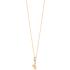 JUST CAVALLI Animalier Necklace Gold Stainless Steel with Cubic Zirconia JCNL01733200 - 1