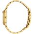 ROBERTO CAVALLI Core Gift Set Gold Dial 32mm Gold Stainless Steel Bracelet RC5L037M2025 - 1