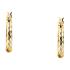 EARRINGS Hoops MORELLATO Tesori Silver 925° Gold-Plated SAIW252 - 1