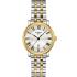 TISSOT Carson Silver Dial 30mm Two Tone Gold Stainless Steel Bracelet T122.210.22.033.00 - 0