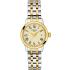 TISSOT Classic Dream Lady's Gold Dial 28mm Two Tone Gold Stainless Steel Bracelet T129.210.22.263.00 - 0