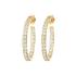 BRONZALLURE Yellow Gold Earrings with Cubic Zirconia WSBZ01277Y.Y - 0