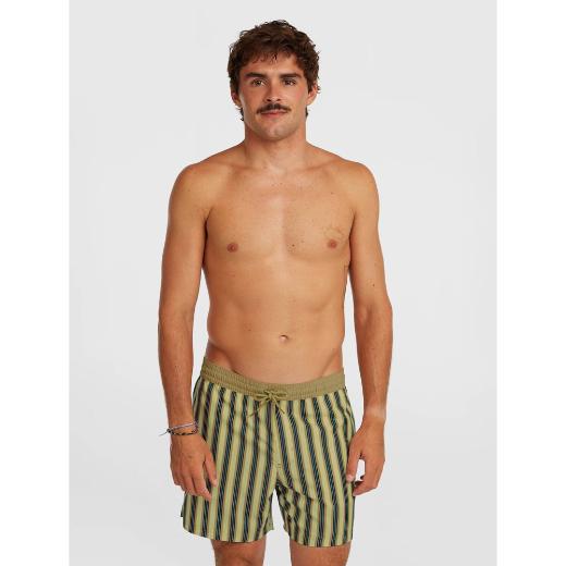 O'NEILL Originals Stripe Αντρικό Μαγιό Βερμούδα 0