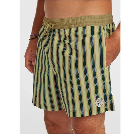 O'NEILL Originals Stripe Αντρικό Μαγιό Βερμούδα 1