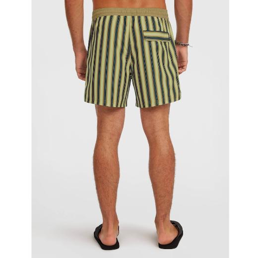 O'NEILL Originals Stripe Αντρικό Μαγιό Βερμούδα 2