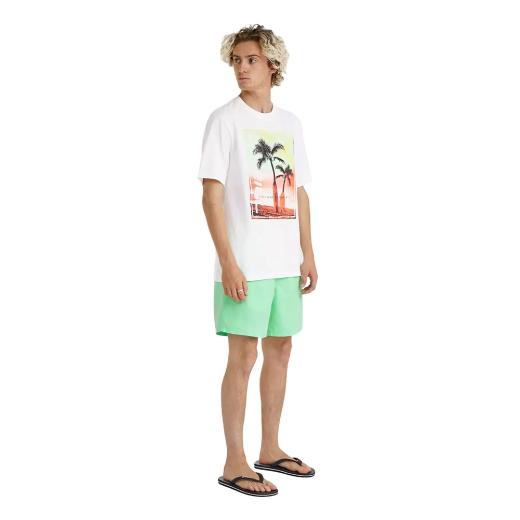 O'NEILL Neon Ανδρικό T-shirt Κοντομάνικο 3