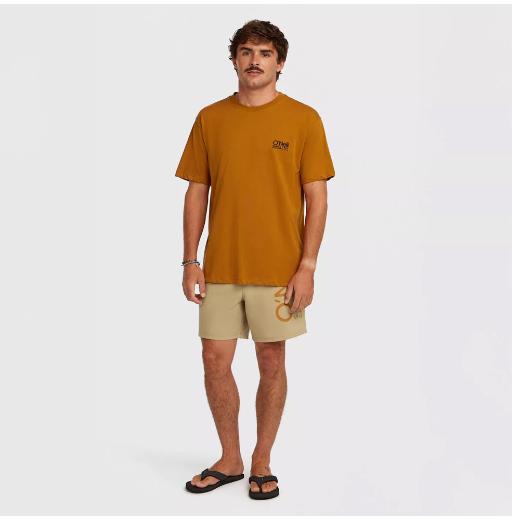 O'NEILL Αντρικό T-shirt 3