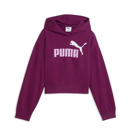 PUMA ESS Παιδικό Φούτερ με Κούκουλα 0