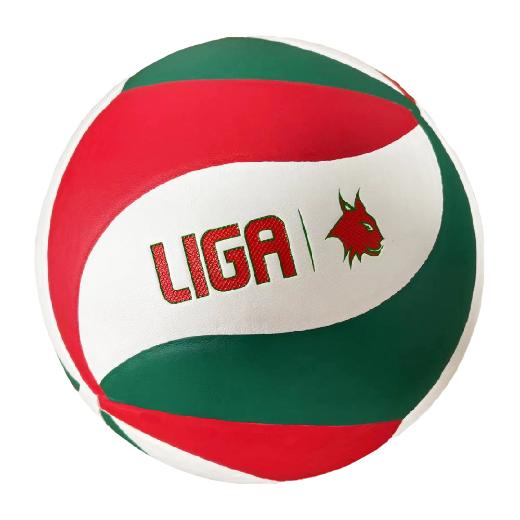 LIGA Smash Μπάλα Volley 0