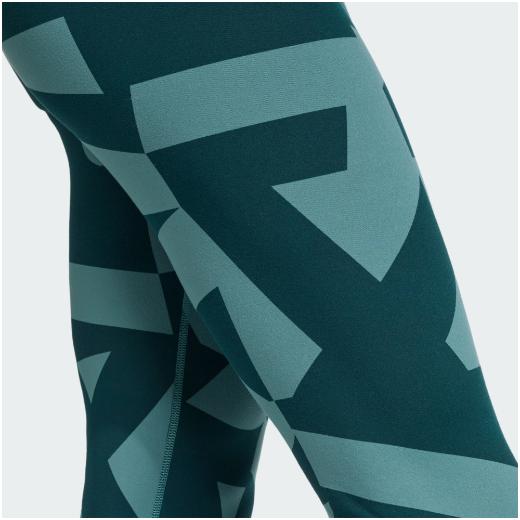 ADIDAS Terrex Ανδρικό Μακρύ Κολάν 4