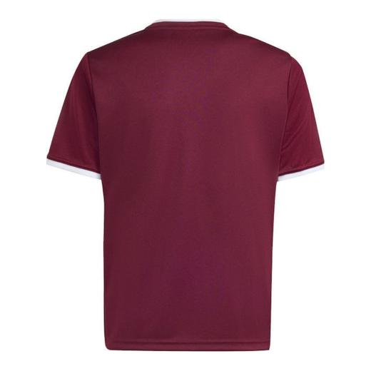 ADIDAS Παιδικό T-shirt Entrada 2 2