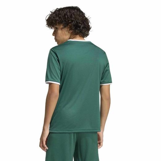ADIDAS Παιδικό T-shirt Entrada 1