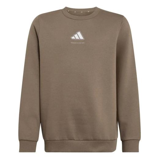 UNDER ARMOUR Fleece Παιδικό Φούτερ  0