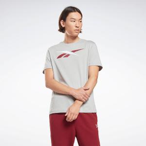 REEBOK Identity Ανδρικό T-shirt Pure - 124199