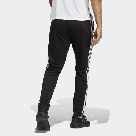 ADIDAS Train Essentials Παντελόνι Φόρμας 1