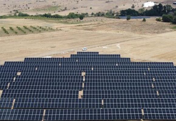 ΑΡ. ΑΓΡΟΤΕΜΑΧΙΟΥ 3252-ΠΑΛΙΑΜΠΕΛΑ