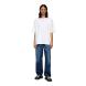 DIESEL T-BOXT-D T-SHIRT A149290GRAI 3