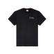 DIESEL T-NORM-V16 T-SHIRT A220060PLAT 3