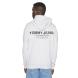 TOMMY HILFIGER TJM REG ENTRY GRAPHIC HOODIE DM0DM17781 2