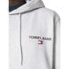 TOMMY HILFIGER TJM REG ENTRY GRAPHIC HOODIE DM0DM17781 3