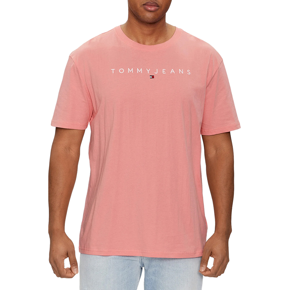 TOMMY HILFIGER TJM REG LINEAR LOGO TEE EXT DM0DM17993 1