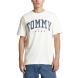 TOMMY HILFIGER TJM REG ARCH VARSITY TEE EXT DM0DM18537 1
