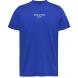 TOMMY HILFIGER TJM SLIM TJ 85 ENTRY TEE EXT DM0DM18569 1