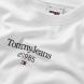TOMMY HILFIGER TJM SLIM TJ 85 ENTRY TEE EXT DM0DM18569 3