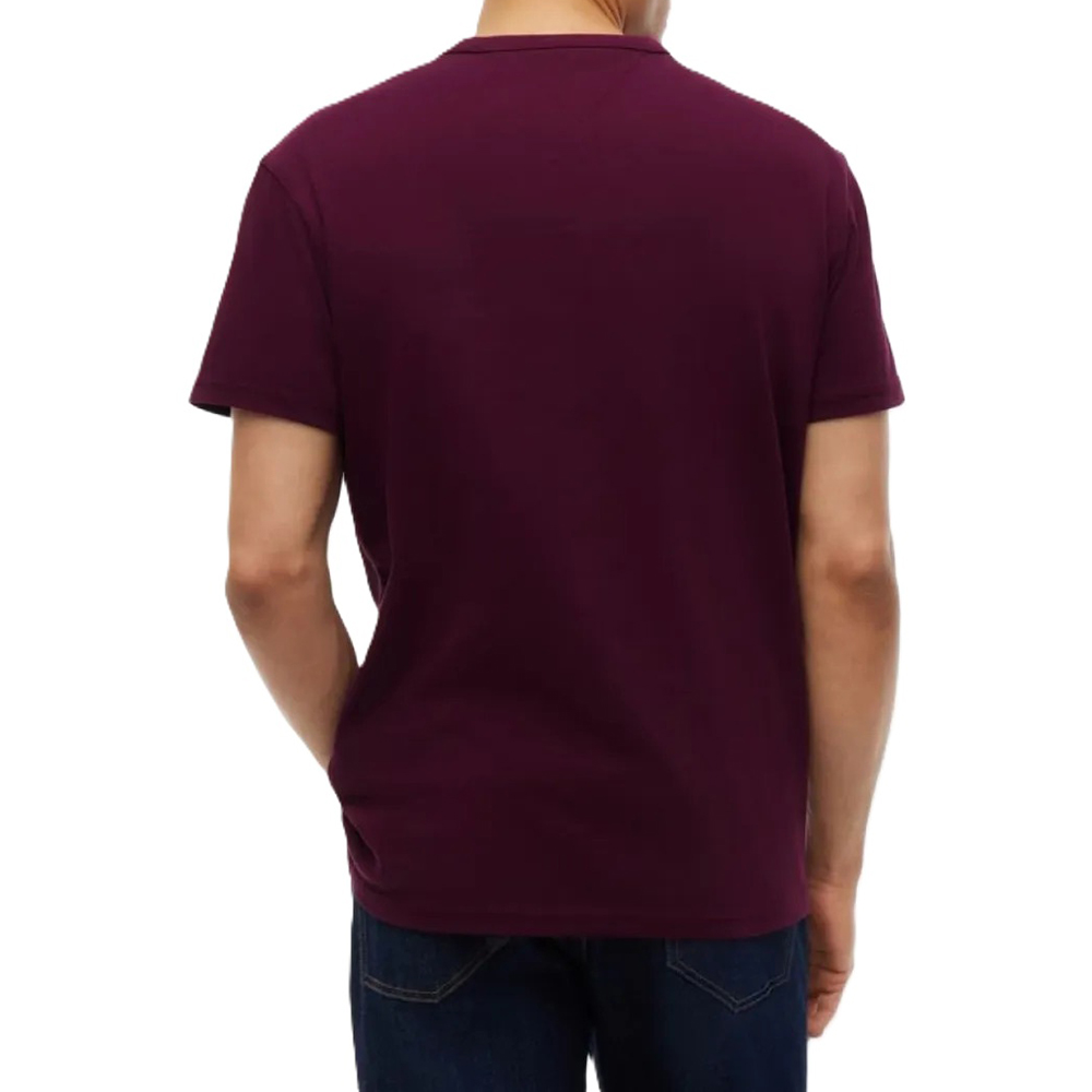 TOMMY HILFIGER REG BADGE TEE EXT DM0DM20322 2