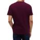 TOMMY HILFIGER REG BADGE TEE EXT DM0DM20322 2
