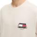TOMMY HILFIGER TJM RLX NOVELTY 1 TEE DM0DM20351 3