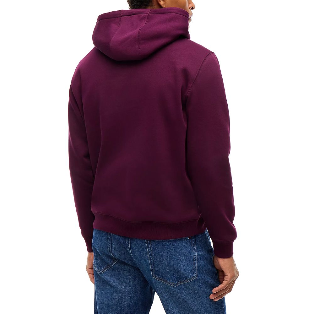 TOMMY HILFIGER REG S FLAG HOODIE DM0DM20742 2