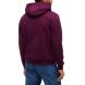 TOMMY HILFIGER REG S FLAG HOODIE DM0DM20742 2