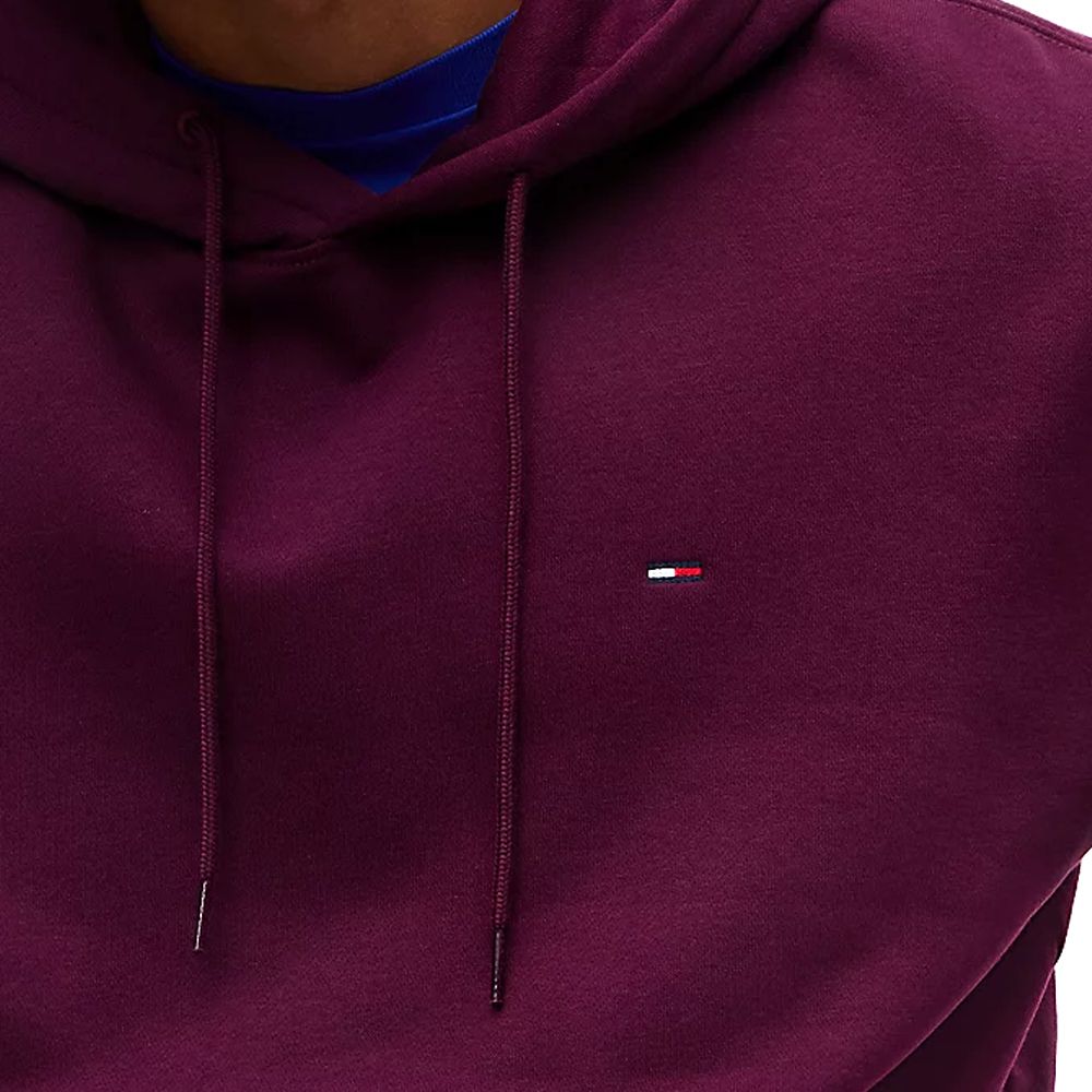 TOMMY HILFIGER REG S FLAG HOODIE DM0DM20742 3