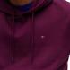 TOMMY HILFIGER REG S FLAG HOODIE DM0DM20742 3