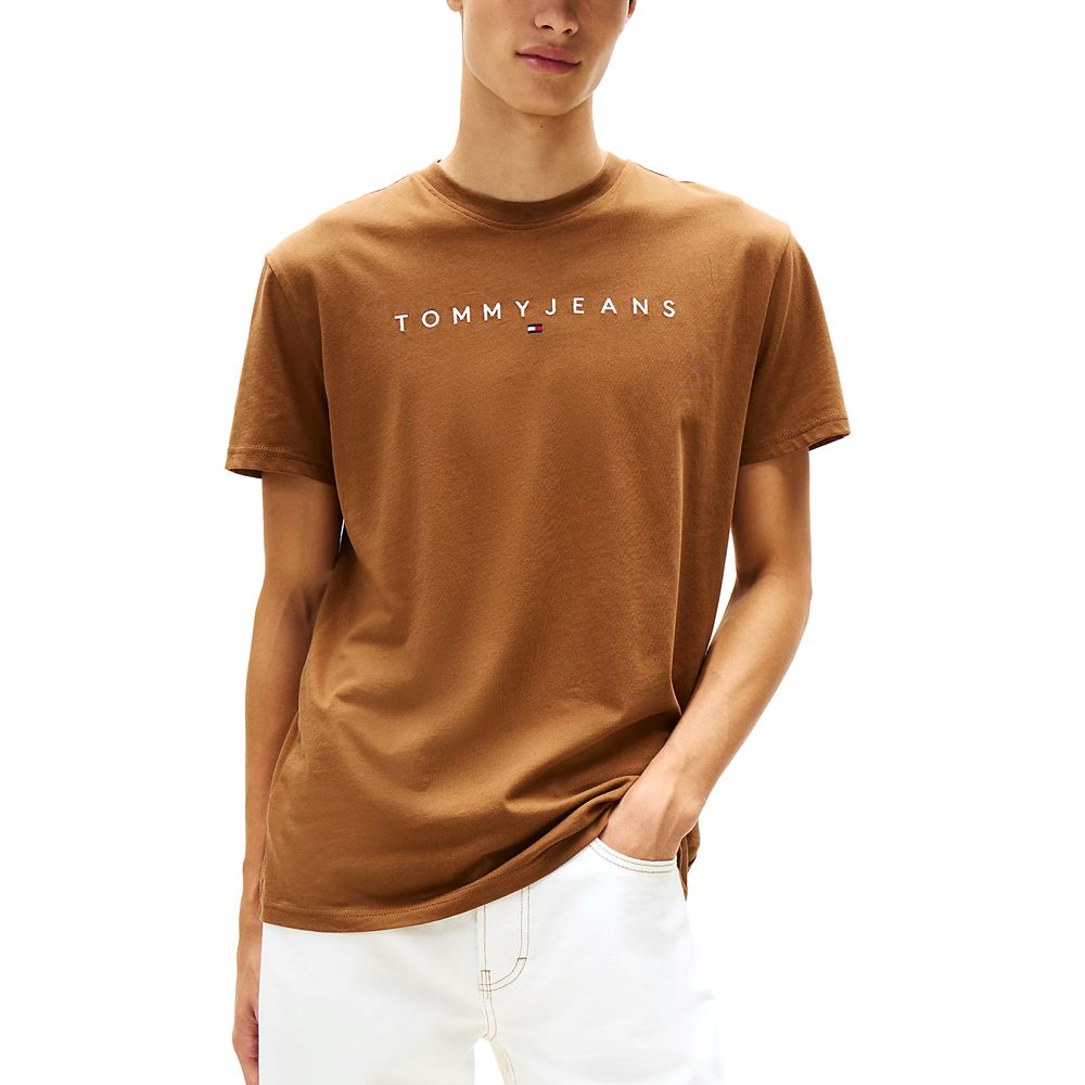 TOMMY HILFIGER TJM REG LINEAR LOGO TEE EXT DM0DM20744 1