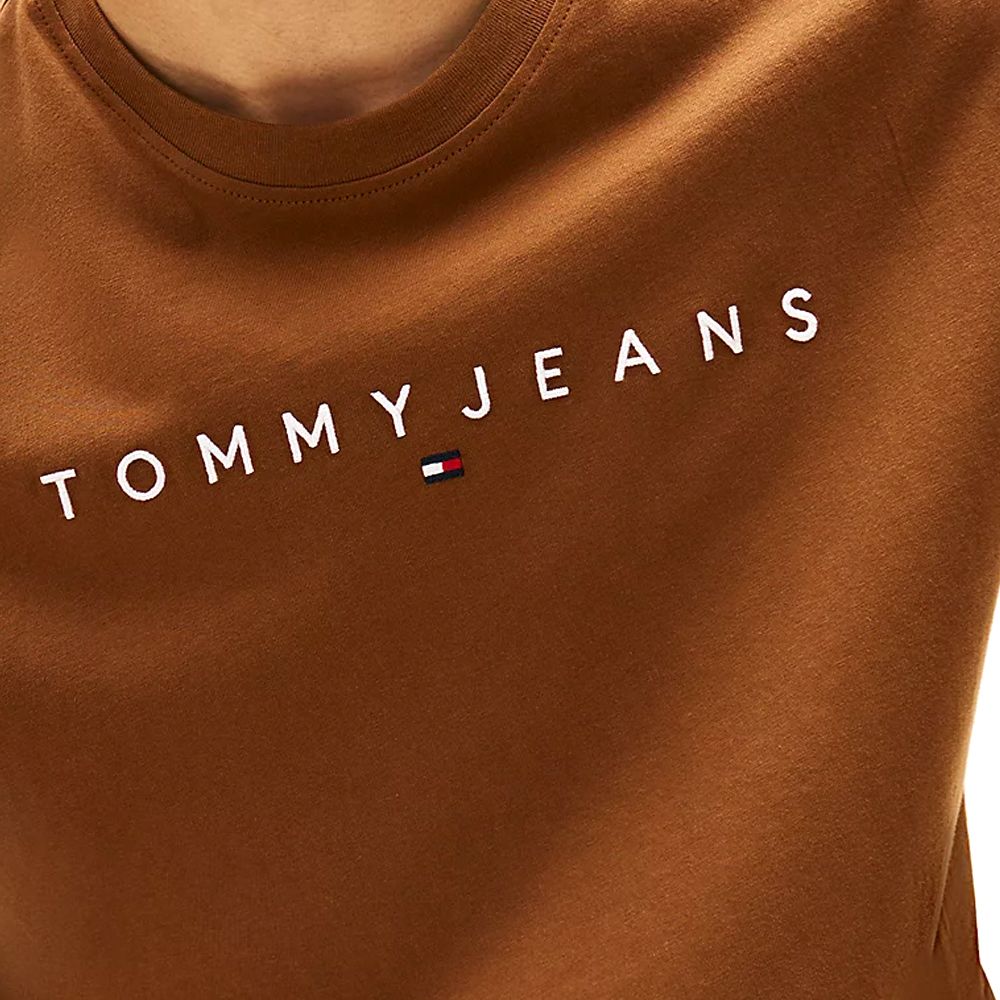 TOMMY HILFIGER TJM REG LINEAR LOGO TEE EXT DM0DM20744 3