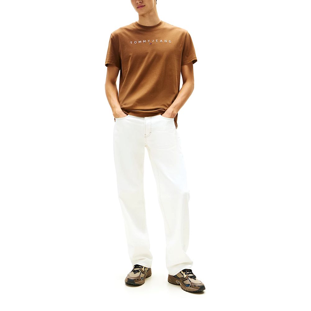 TOMMY HILFIGER TJM REG LINEAR LOGO TEE EXT DM0DM20744 4