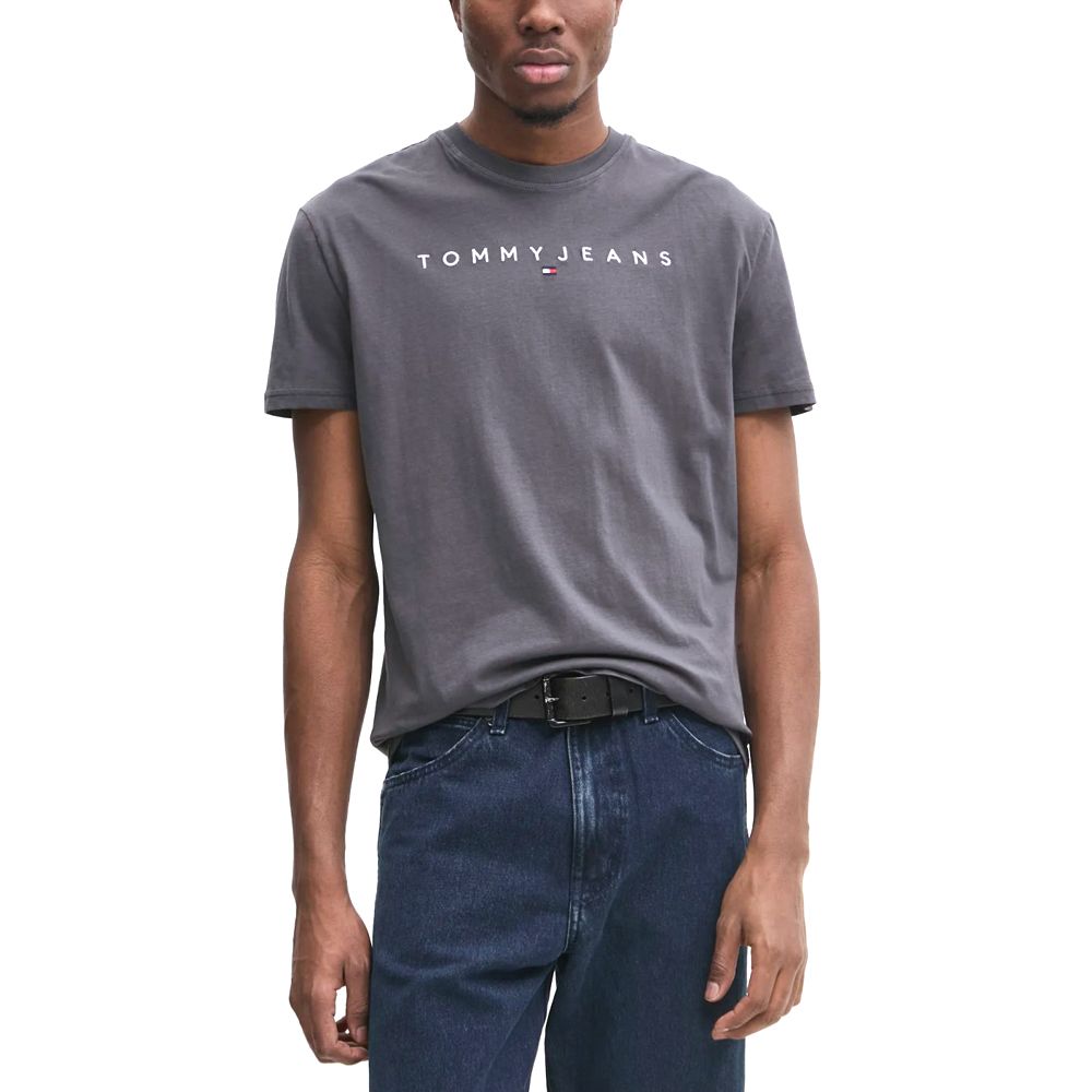 TOMMY HILFIGER TJM REG LINEAR LOGO TEE EXT DM0DM20744 1