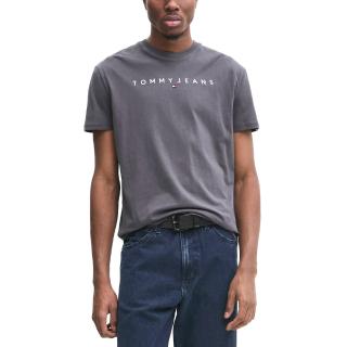 TOMMY HILFIGER TJM REG LINEAR LOGO TEE EXT DM0DM20744