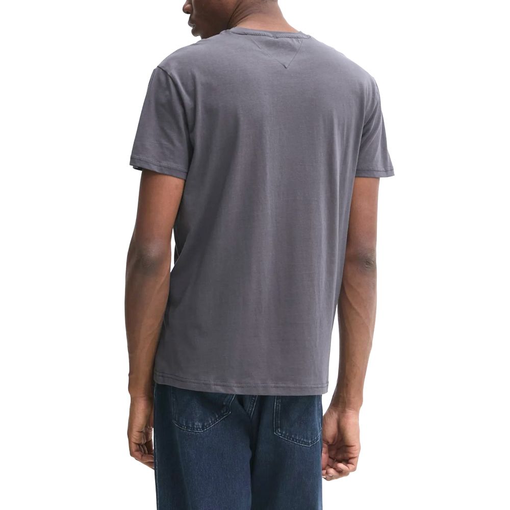 TOMMY HILFIGER TJM REG LINEAR LOGO TEE EXT DM0DM20744 2