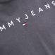 TOMMY HILFIGER TJM REG LINEAR LOGO TEE EXT DM0DM20744 3
