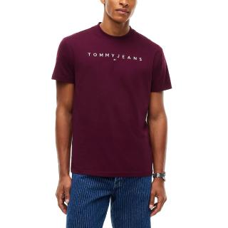 TOMMY HILFIGER REG LINEAR LOGO TEE EXT DM0DM20744
