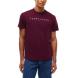 TOMMY HILFIGER REG LINEAR LOGO TEE EXT DM0DM20744 1