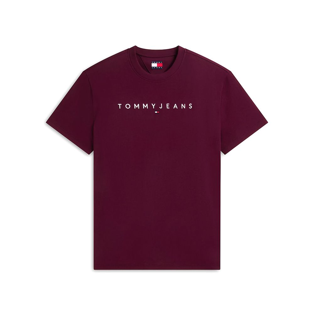 TOMMY HILFIGER REG LINEAR LOGO TEE EXT DM0DM20744 4