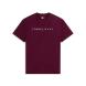 TOMMY HILFIGER REG LINEAR LOGO TEE EXT DM0DM20744 4