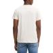 TOMMY HILFIGER TJM SLIM ENTRY GRAPHIC TEE EXT DM0DM20779 2
